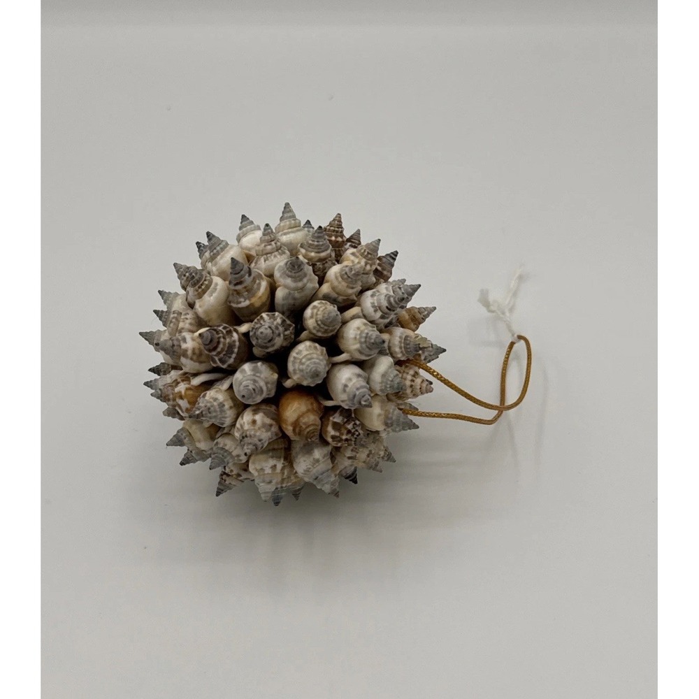 Genuine Seashell Sea Shell Ornament Orb Ball Coastal Beach Décor Porcupine